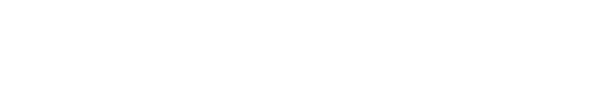 SPINENTROPY
